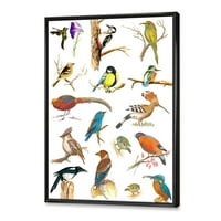 Designart 'Vital Colored Birds Plancard' hagyományos keretes vászon fali művészet nyomtatás