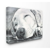 Stupell Industries álmos kutya kedvtelésből tartott állatok akvarell festmény vászon fali művészet, George Dyachenko