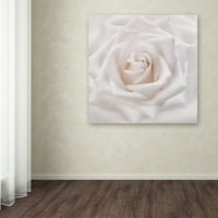 Védjegy Képzőművészet 'Soft White Rose' vászon művészete: Cora Niele
